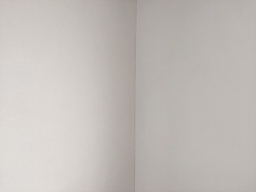 e4a8cc668e5fa038770980eba210c100_1620187663_6061.jpg